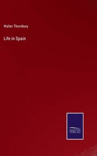 bokomslag Life in Spain