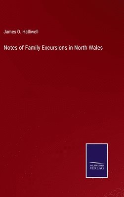 bokomslag Notes of Family Excursions in North Wales