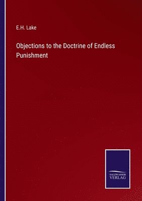 bokomslag Objections to the Doctrine of Endless Punishment