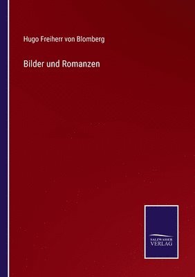 bokomslag Bilder und Romanzen
