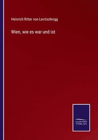 bokomslag Wien, wie es war und ist