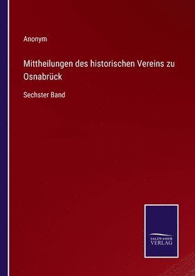 bokomslag Mittheilungen des historischen Vereins zu Osnabrck