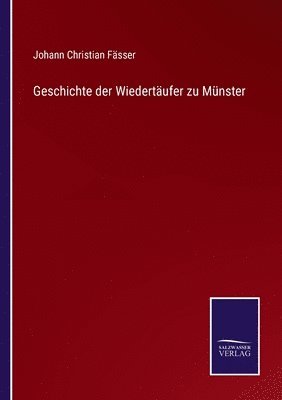 bokomslag Geschichte der Wiedertufer zu Mnster