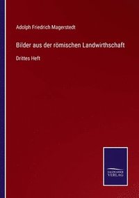 bokomslag Bilder aus der rmischen Landwirthschaft