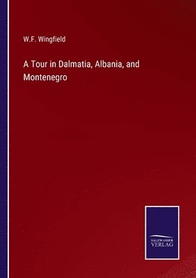 bokomslag A Tour in Dalmatia, Albania, and Montenegro