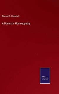 bokomslag A Domestic Homoeopathy