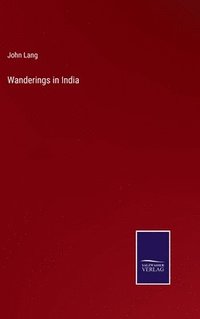 bokomslag Wanderings in India