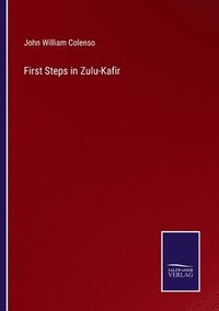 bokomslag First Steps in Zulu-Kafir