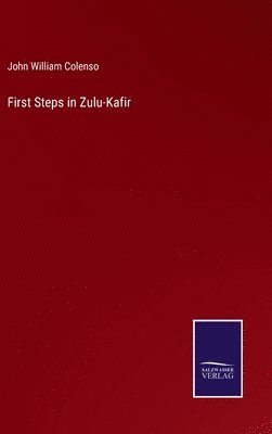 bokomslag First Steps in Zulu-Kafir