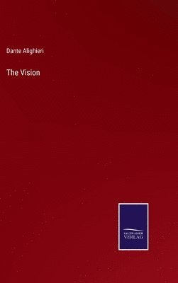 The Vision 1