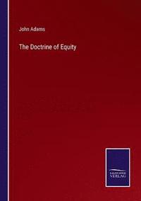 bokomslag The Doctrine of Equity