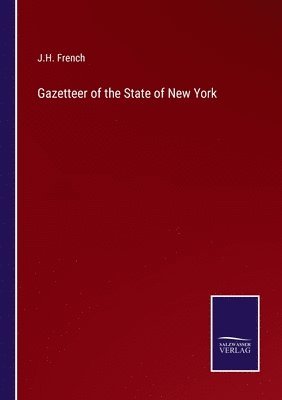 bokomslag Gazetteer of the State of New York