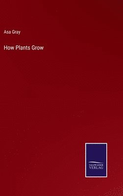 bokomslag How Plants Grow