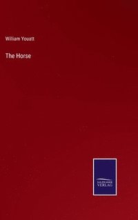 bokomslag Horse