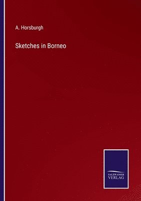 bokomslag Sketches in Borneo