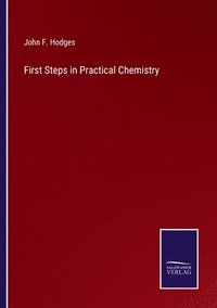 bokomslag First Steps in Practical Chemistry