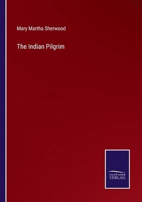 bokomslag Indian Pilgrim