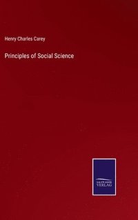 bokomslag Principles of Social Science