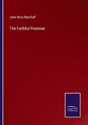 bokomslag Faithful Promiser