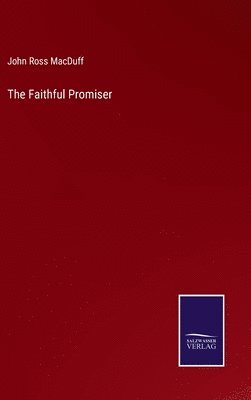 bokomslag The Faithful Promiser