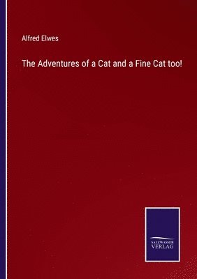 Adventures of a Cat and a Fine Cat too!