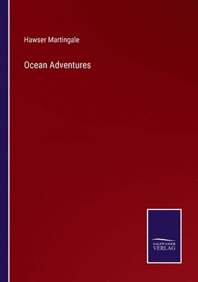 bokomslag Ocean Adventures