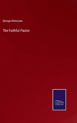 bokomslag Faithful Pastor