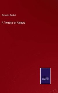 bokomslag A Treatise on Algebra