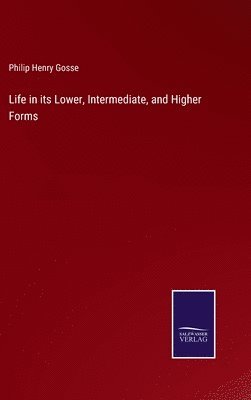 Life in its Lower, Intermediate, and Higher Forms 1