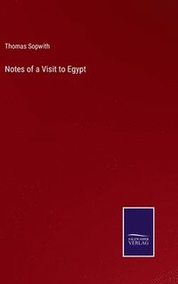 bokomslag Notes of a Visit to Egypt