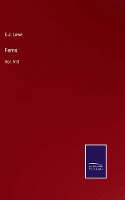 Ferns
