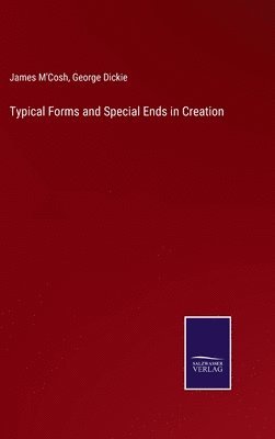Typical Forms and Special Ends in Creation 1