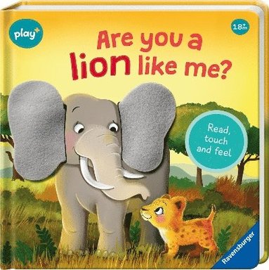 Kathrin Lena Orso - Ravensburger Play+ Infant & Toddler - Are you a Lion like me?, Kartonnage