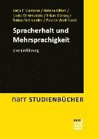 bokomslag Spracherhalt und Mehrsprachigkeit