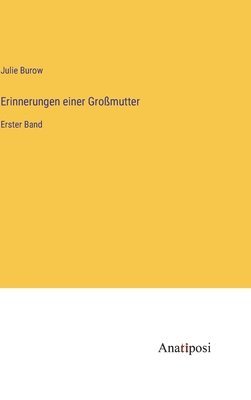 bokomslag Erinnerungen einer Großmutter