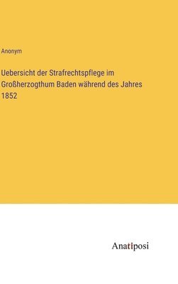 bokomslag Uebersicht der Strafrechtspflege im Groherzogthum Baden whrend des Jahres 1852