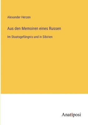 bokomslag Aus den Memoiren eines Russen