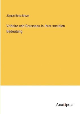 Jürgen Bona Meyer - Voltaire und Rousseau in ihrer socialen Bedeutung, Häftad