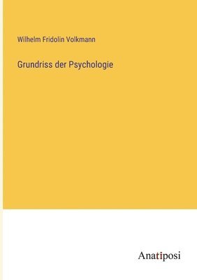 bokomslag Grundriss der Psychologie