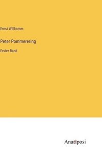bokomslag Peter Pommerering