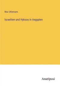bokomslag Israeliten und Hyksos in Aegypten
