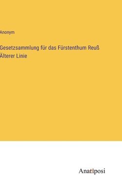 bokomslag Gesetzsammlung fr das Frstenthum Reu lterer Linie