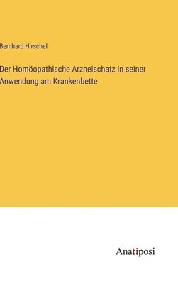 bokomslag Der Homopathische Arzneischatz in seiner Anwendung am Krankenbette