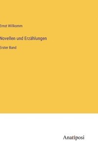 bokomslag Novellen und Erzhlungen