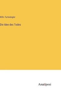 bokomslag Idee des Todes