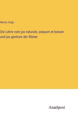 bokomslag Lehre vom jus naturale, aequum et bonum und jus gentium der Römer