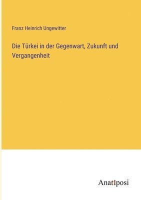 bokomslag Die Trkei in der Gegenwart, Zukunft und Vergangenheit