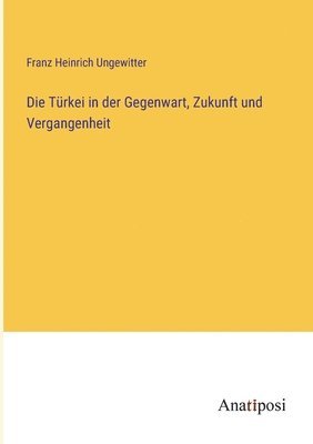 Franz Heinrich Ungewitter - Türkei in der Gegenwart, Zukunft und Vergangenheit, Häftad