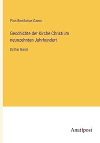 bokomslag Geschichte der Kirche Christi im neunzehnten Jahrhundert