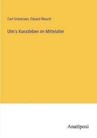 bokomslag Ulm's Kunstleben im Mittelalter